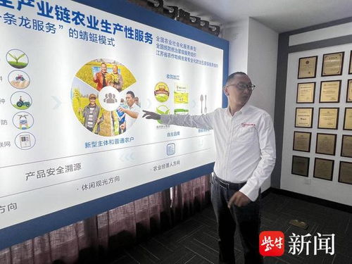 數(shù)智養(yǎng)豬場(chǎng) AI管家全天候守護(hù)，教育咨詢開(kāi)啟智能養(yǎng)殖新篇章
